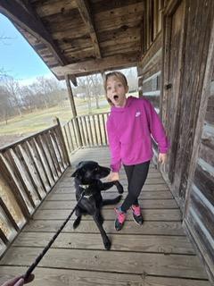 Enlarge Hunter, a ADOPTABLE mixed breed in Manhasset, NY image 2/6