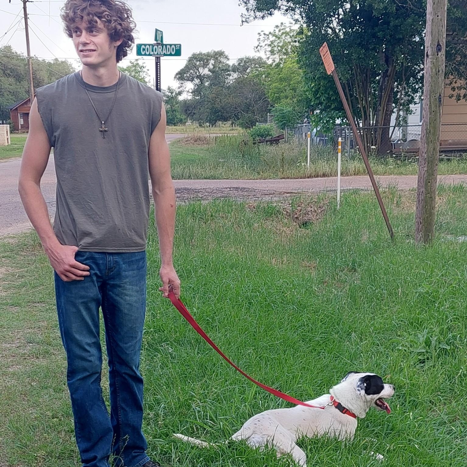 NEIKO  (I Sit Patiently Waiting for my Family, Sweet, Playful, Loves other dogs and his human) 3