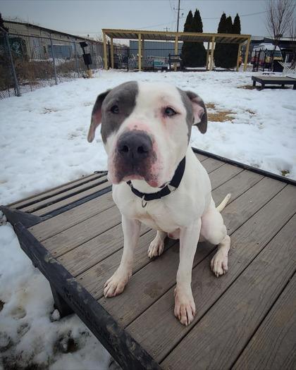 Jimbo — thumbnail 3