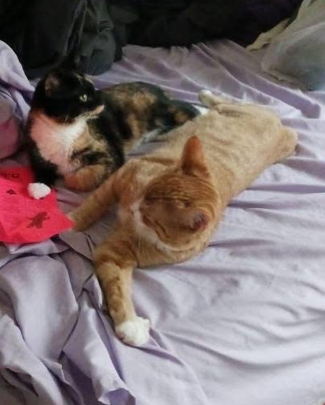 Theo and Millie
