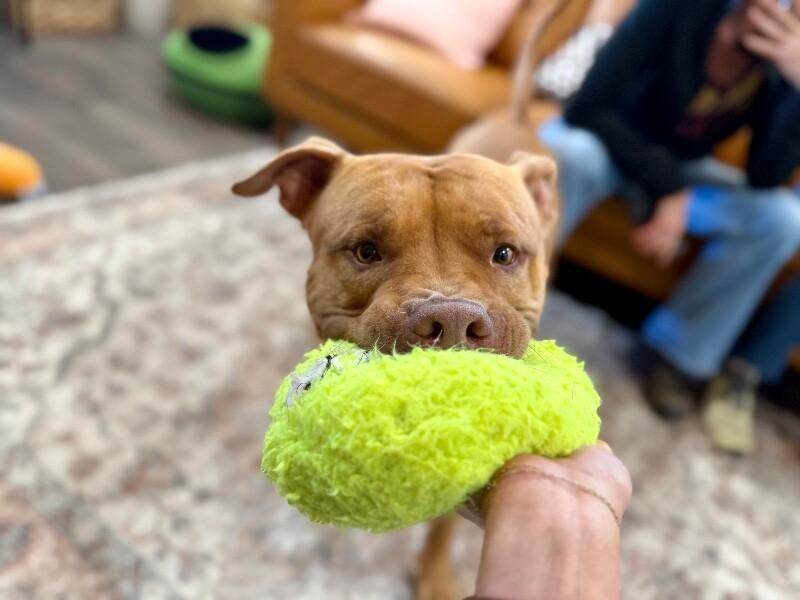 Buster Butters Softer than a Crescent Roll — thumbnail 3