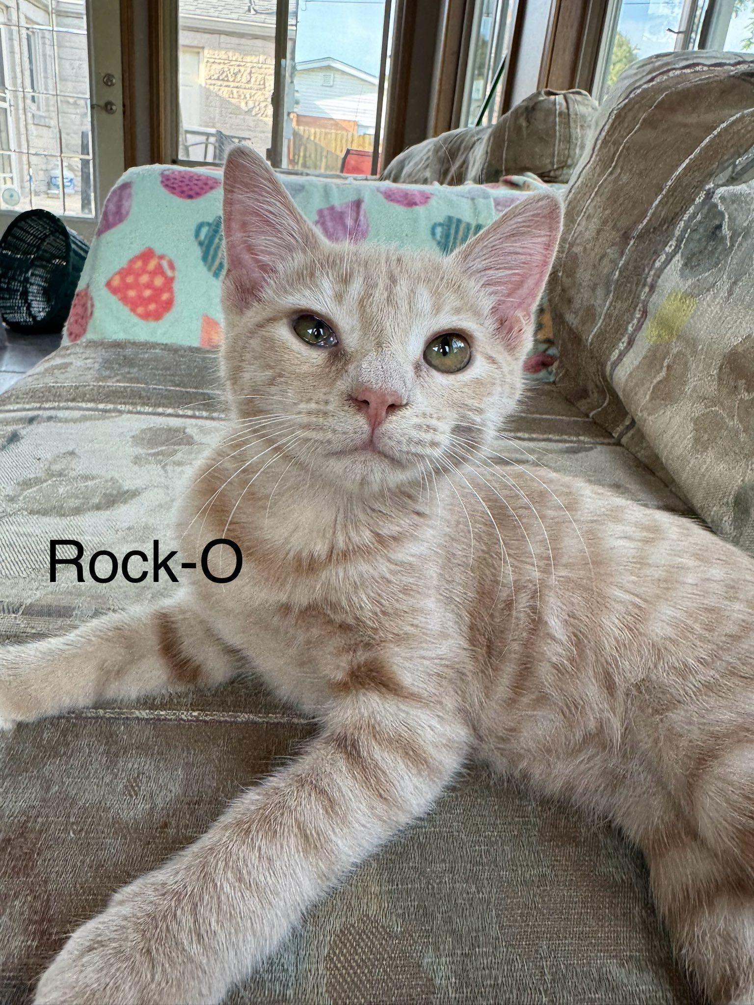 Rock-O