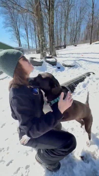 Enlarge Reba , a Adoptable Mixed Breed in Argyle, NY video 6/6