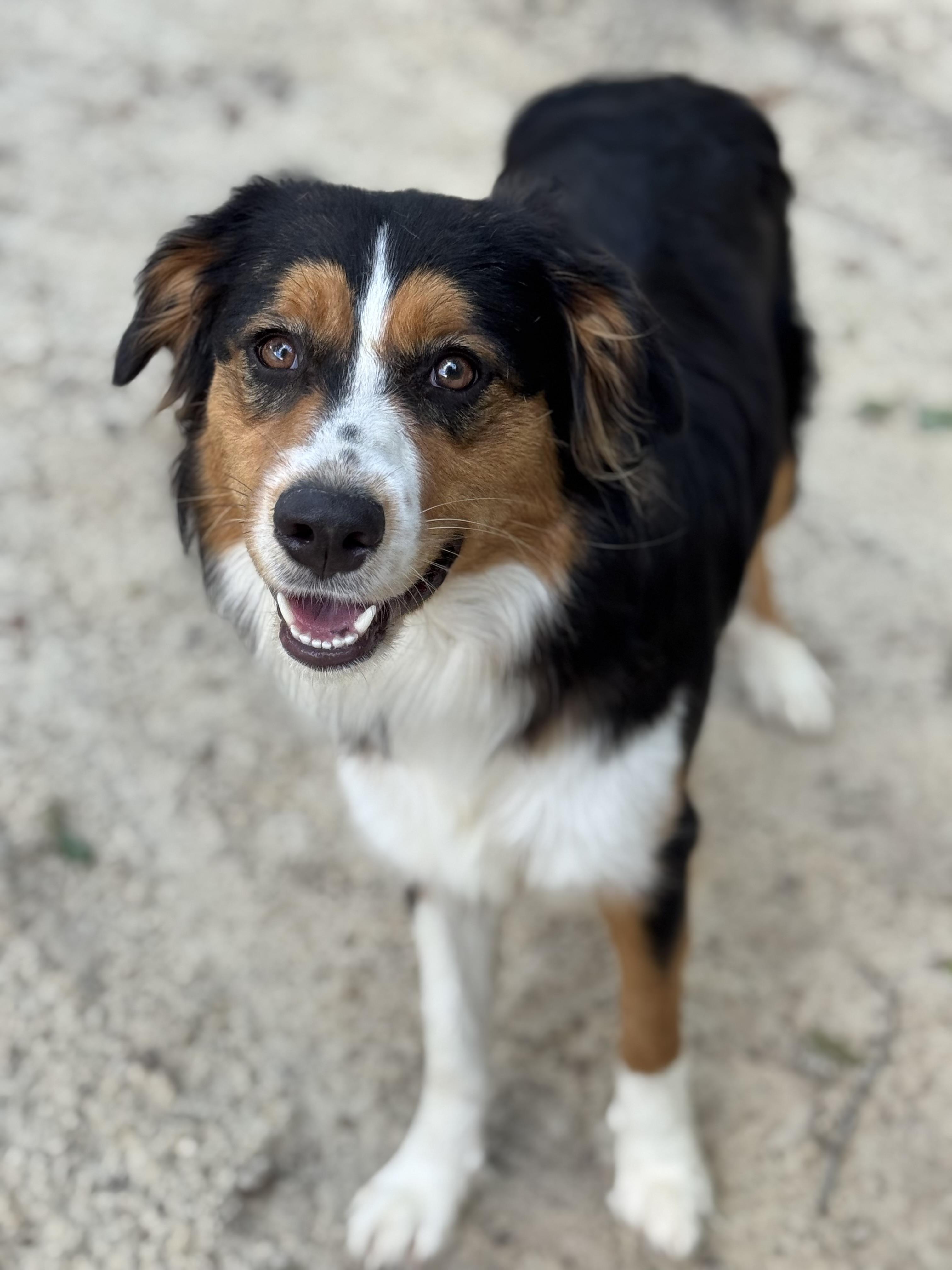 Maggie