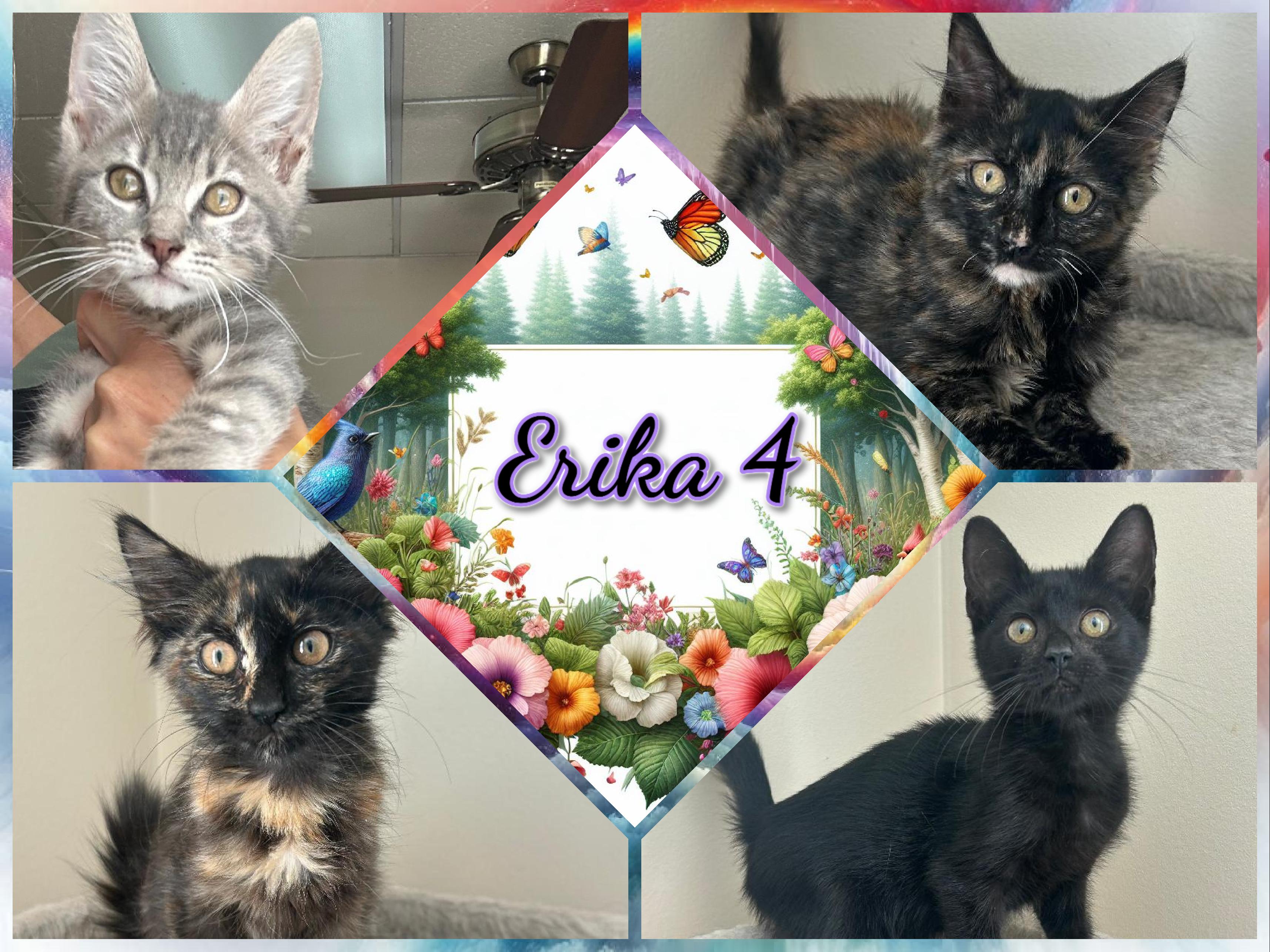 Erika 4, Baby Female unknown