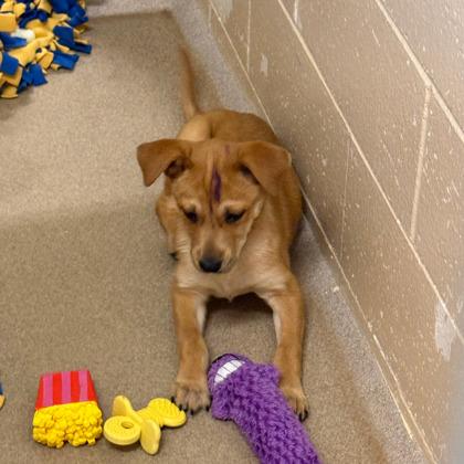 Diamond — thumbnail 2