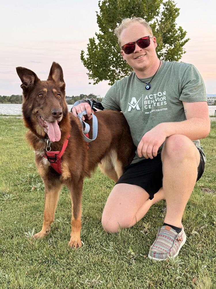 Calina, a Adoptable German Shepherd Dog in Denver, CO image 3/6