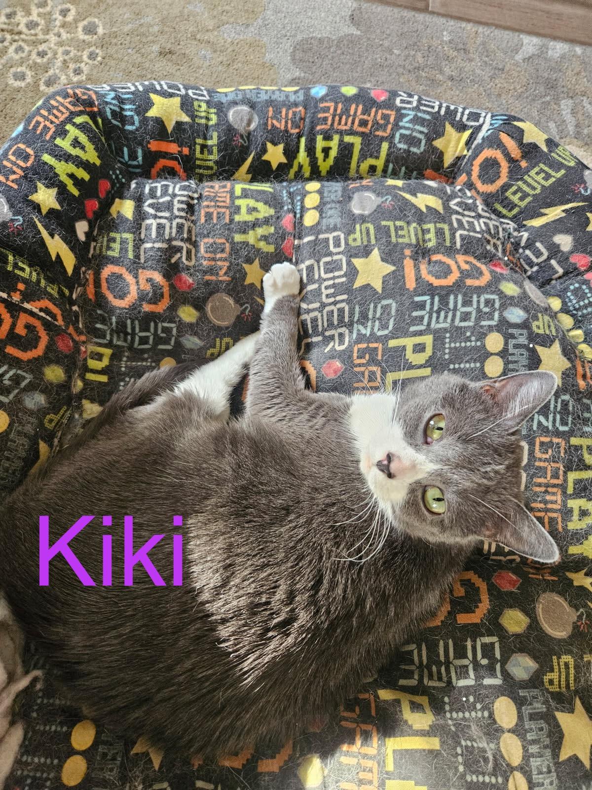 Kiki & Luna - TWO GENTLE SOULS LOOKING FOR ONE PURRRFECT HOME! 3