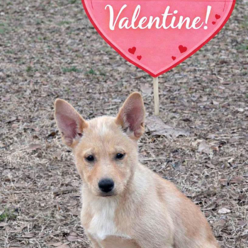 Vivianne thumbnail 2