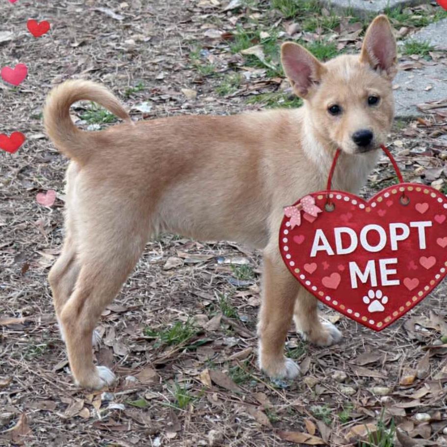 Vivianne thumbnail 3