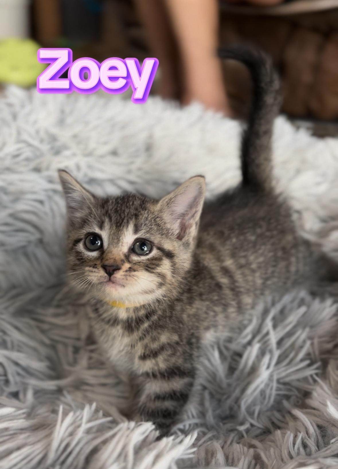 Zoey