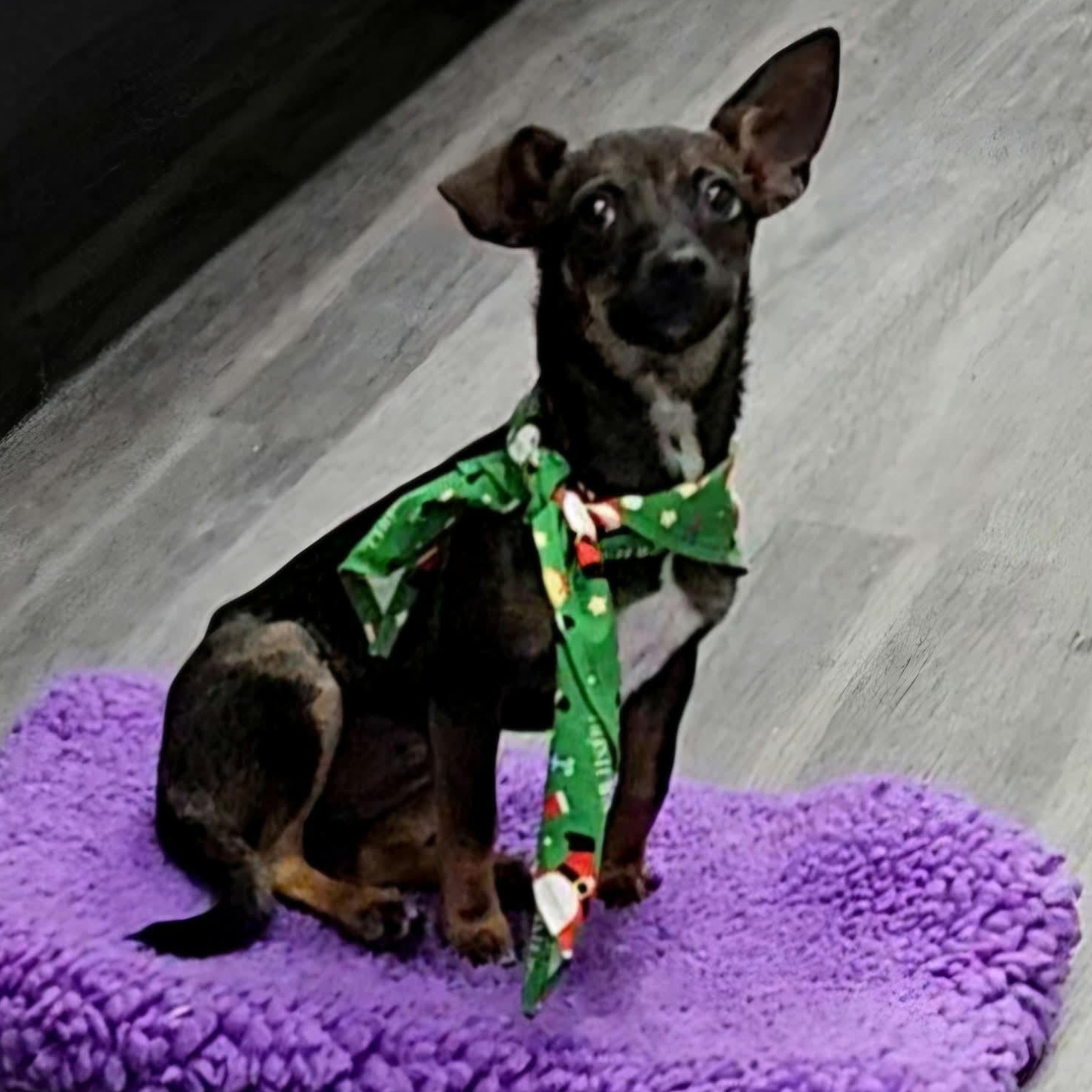 Cardi B — thumbnail 2