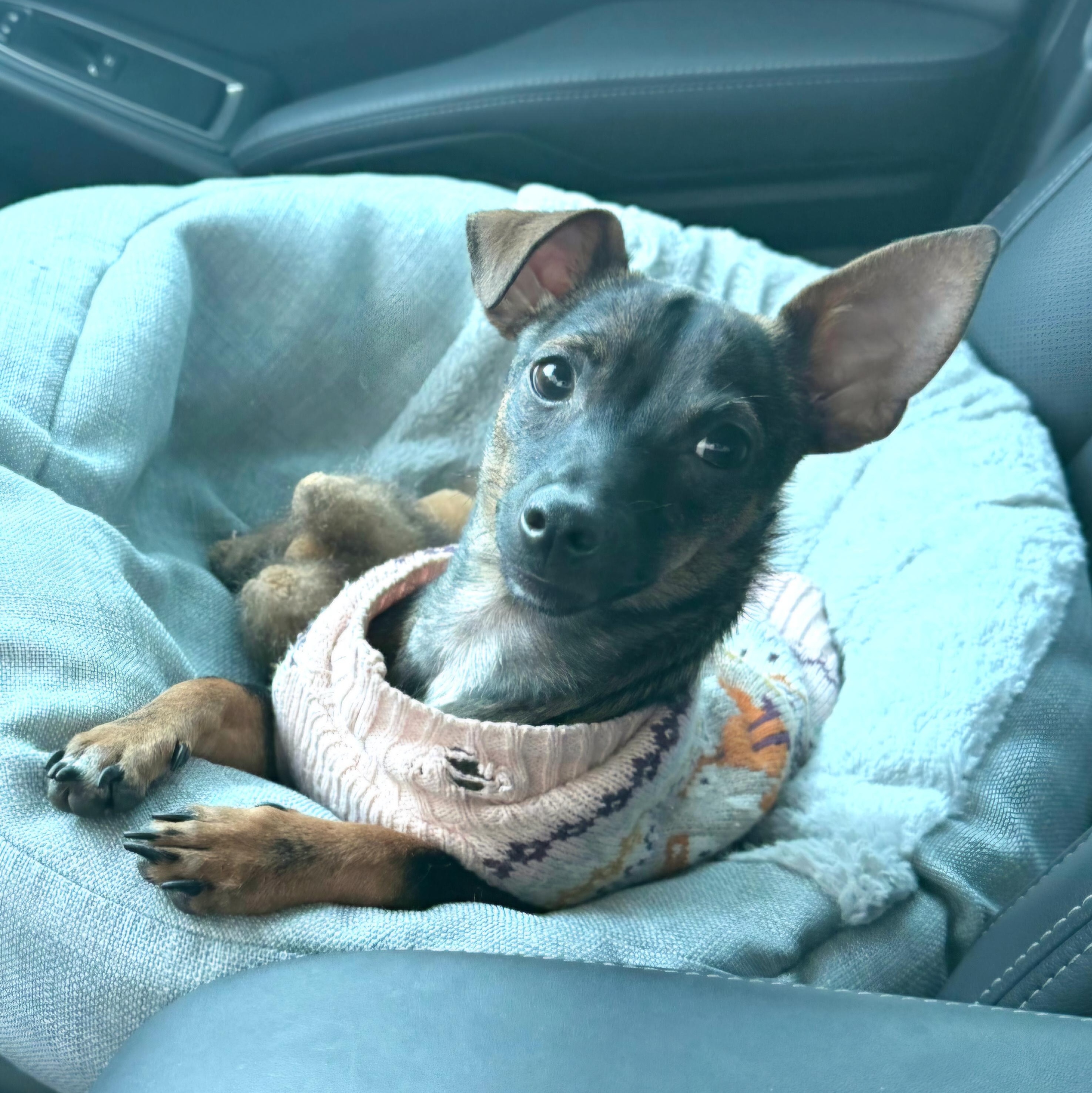 Cardi B — thumbnail 3