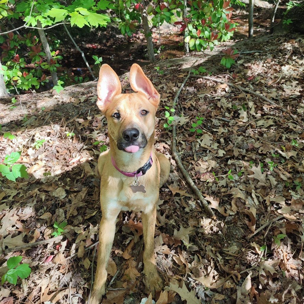 Millie — thumbnail 3