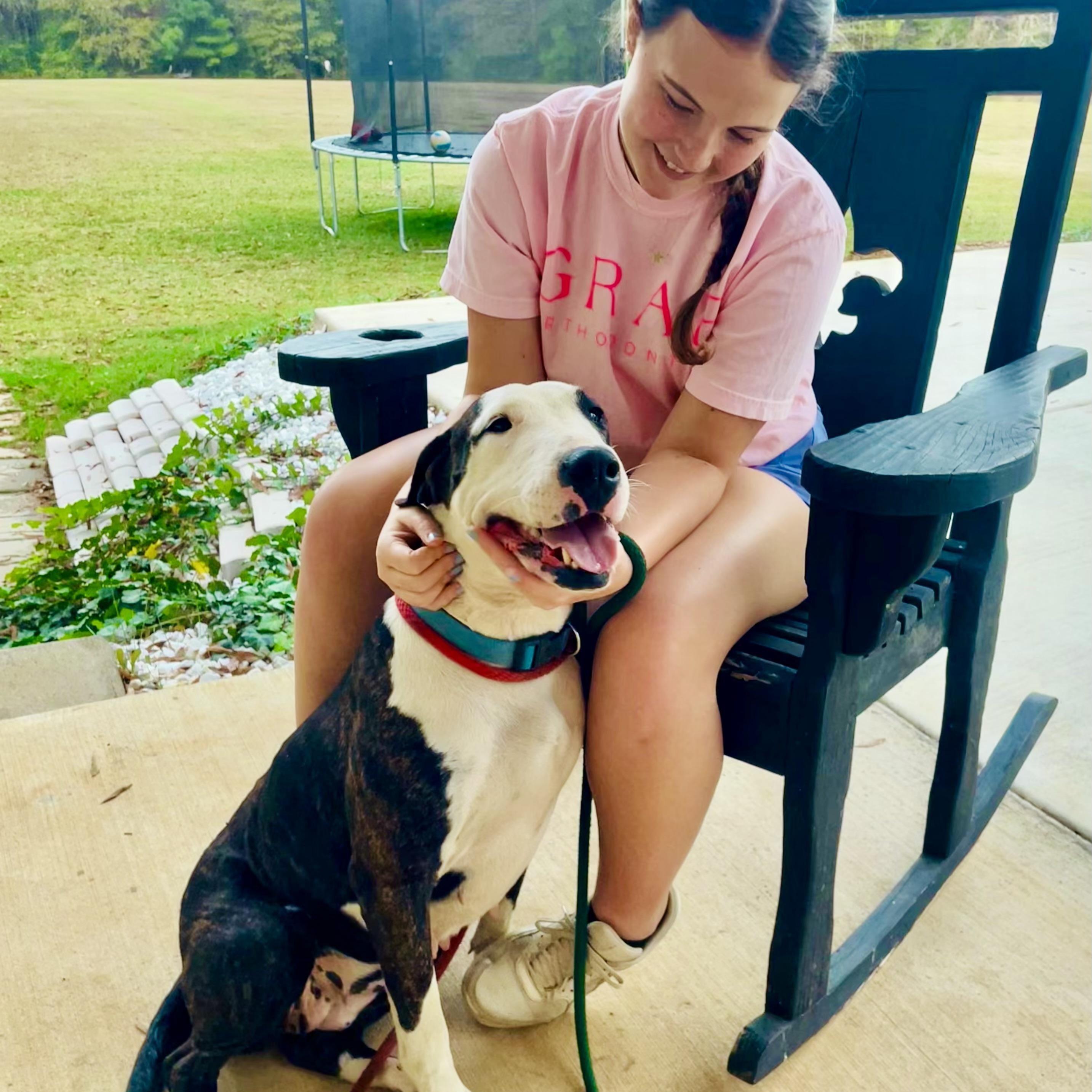 Enlarge BABETTE , a ADOPTABLE mixed breed in Bethpage, NY image 1/6