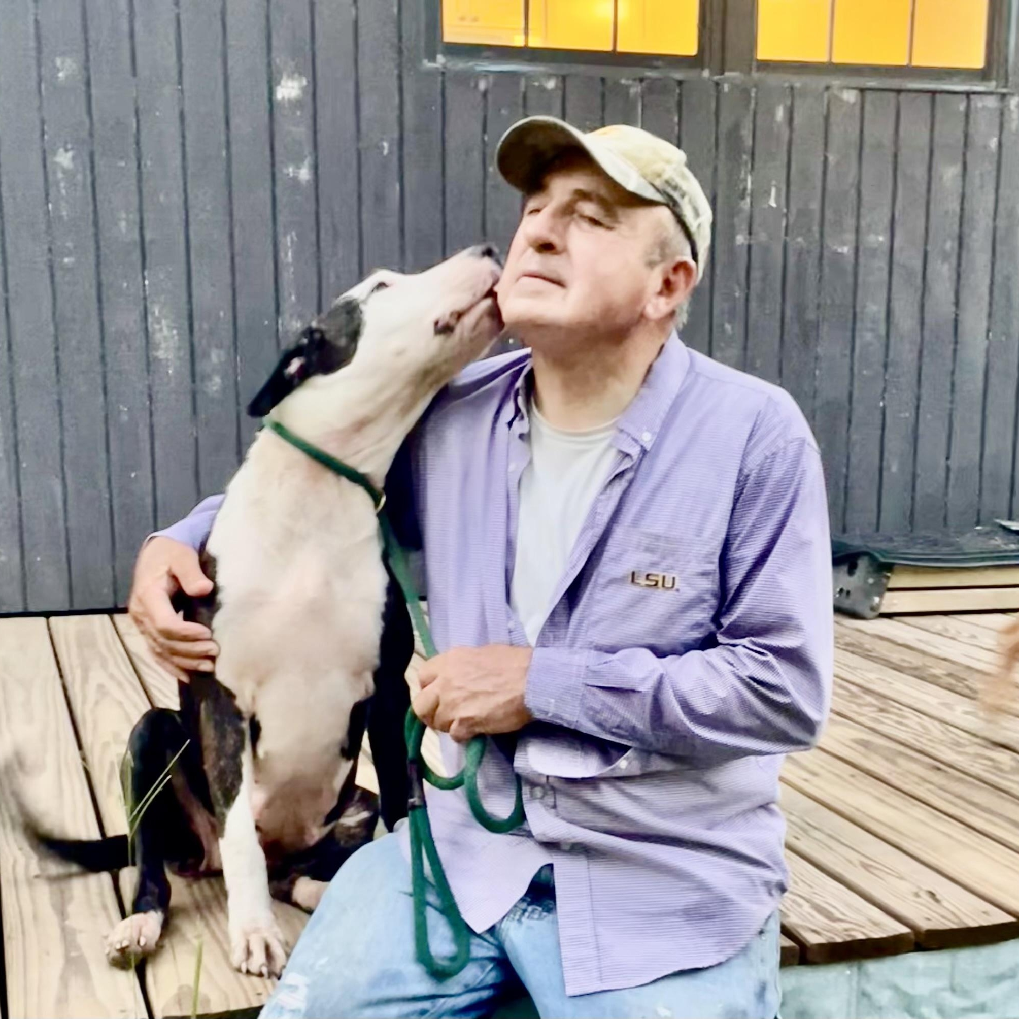 Enlarge BABETTE , a ADOPTABLE mixed breed in Bethpage, NY image 3/6