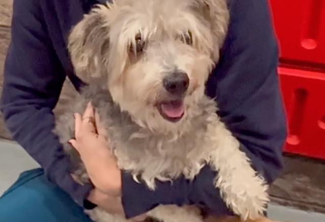 Urgent! Save Me Please! thumbnail 2