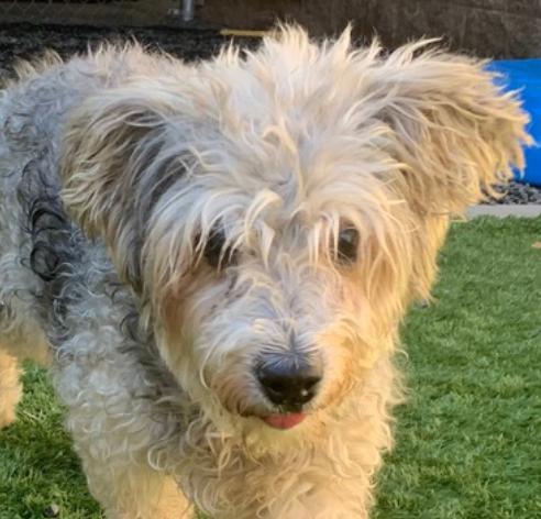 Urgent! Save Me Please! thumbnail 3