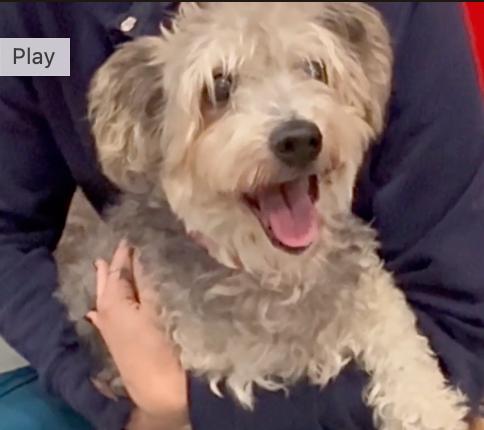 Urgent! Save Me Please!