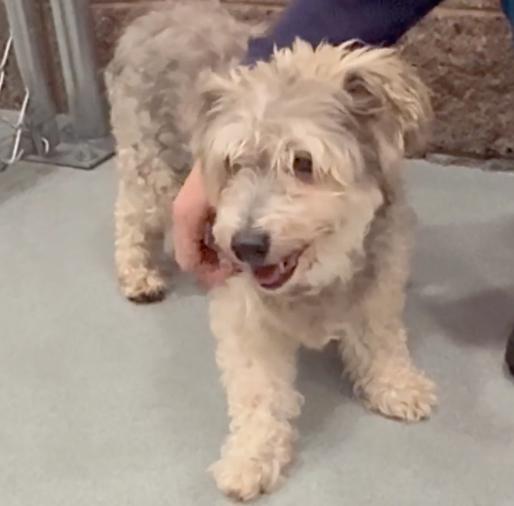 Urgent! Save Me Please! thumbnail 5