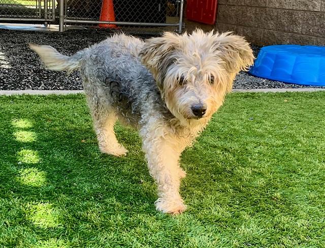 Urgent! Save Me Please! thumbnail 6