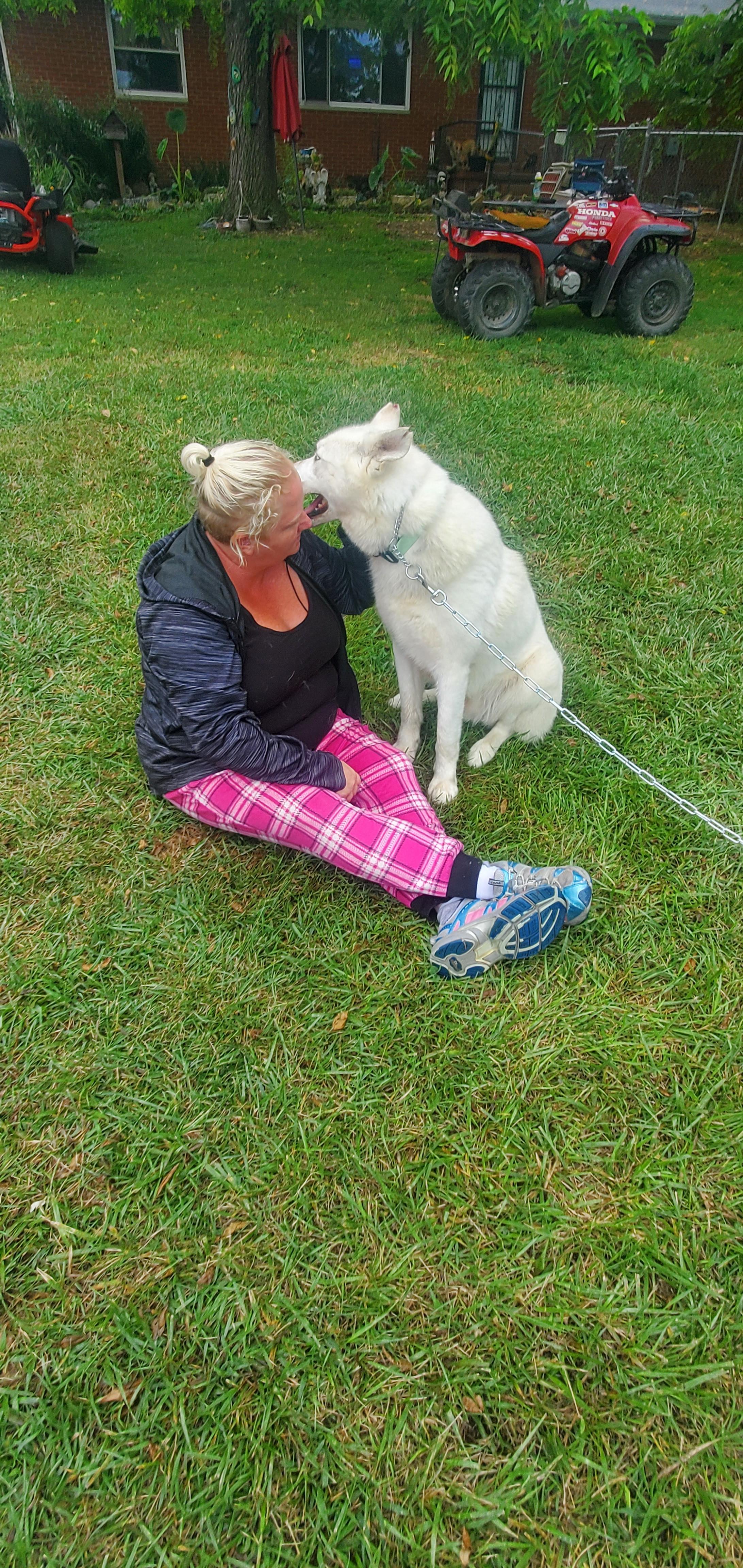 Justin, a Adoptable Husky in Campton, KY image 3/6