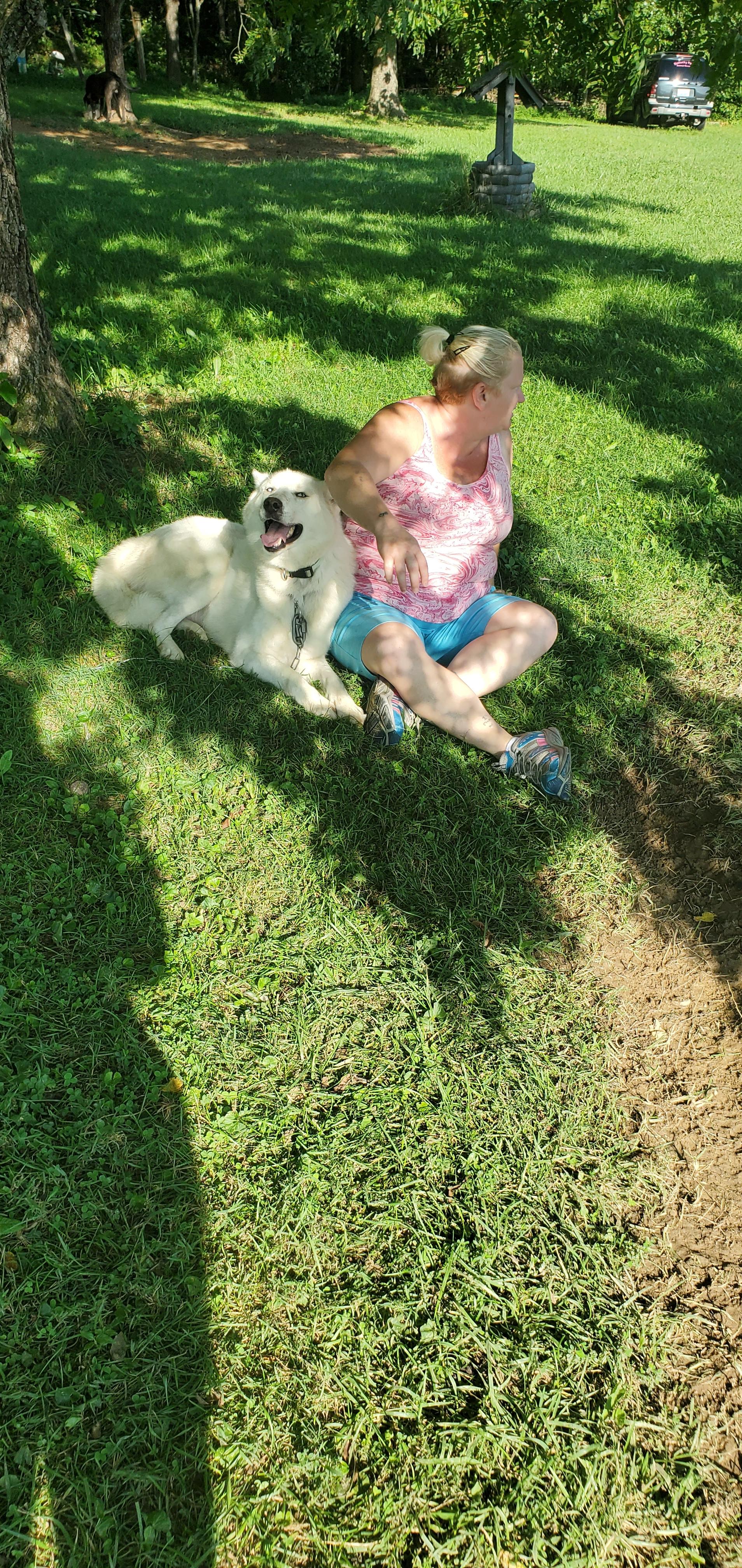 Justin, a Adoptable Husky in Campton, KY image 6/6