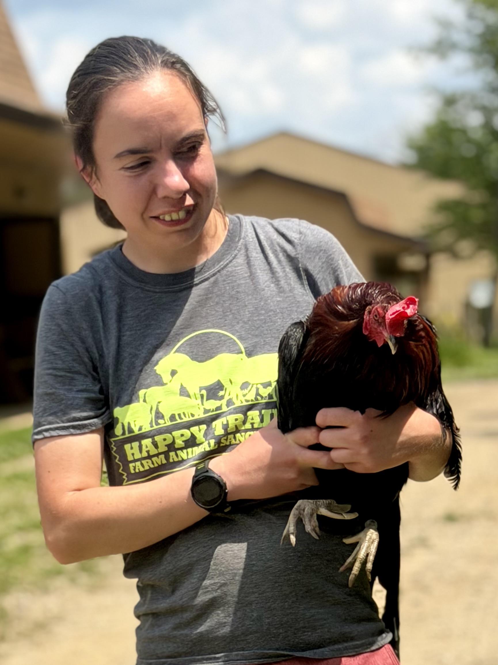 Fonzie, a Adoptable Chicken in Ravenna, OH image 3/5