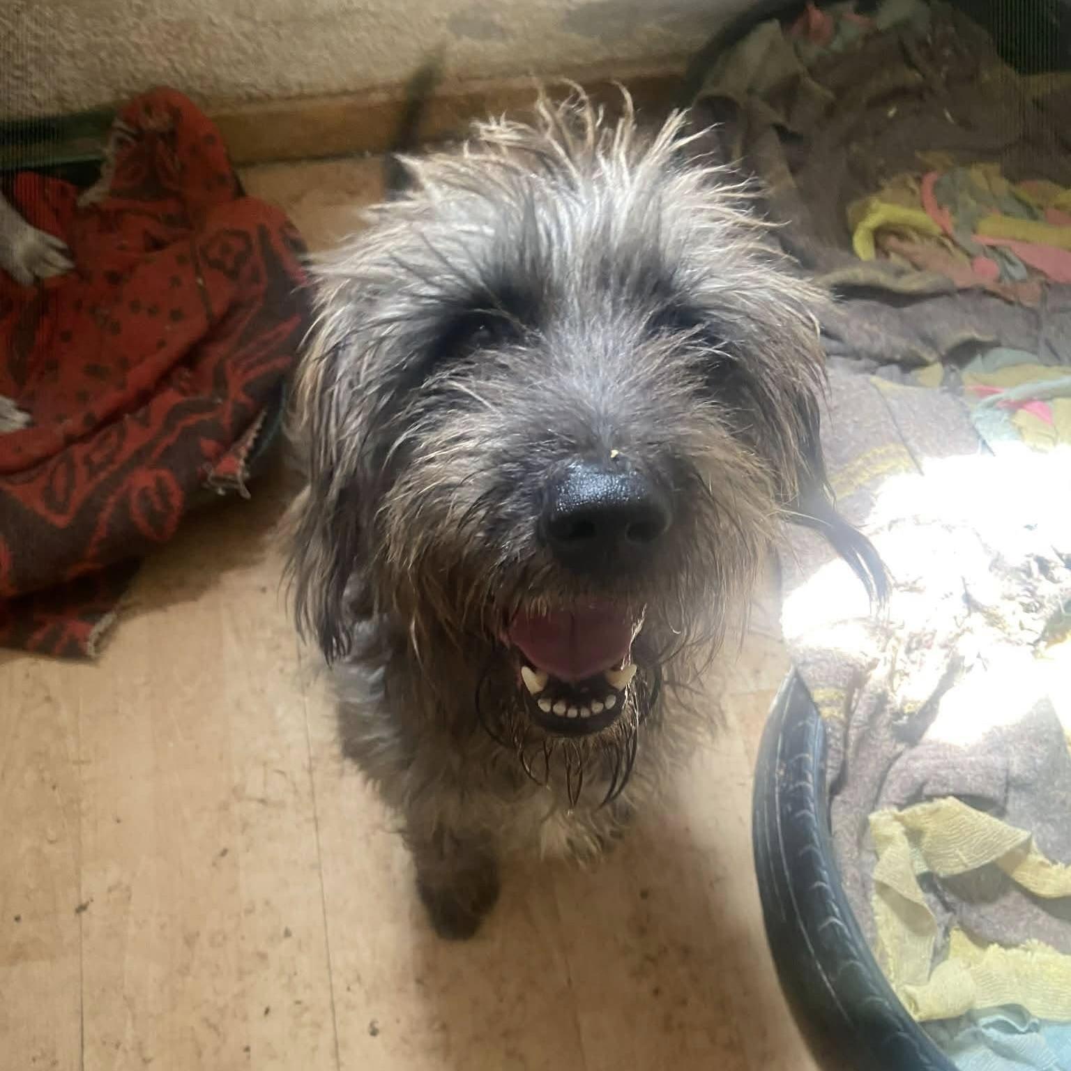 Mister Rogers (20260301-01)