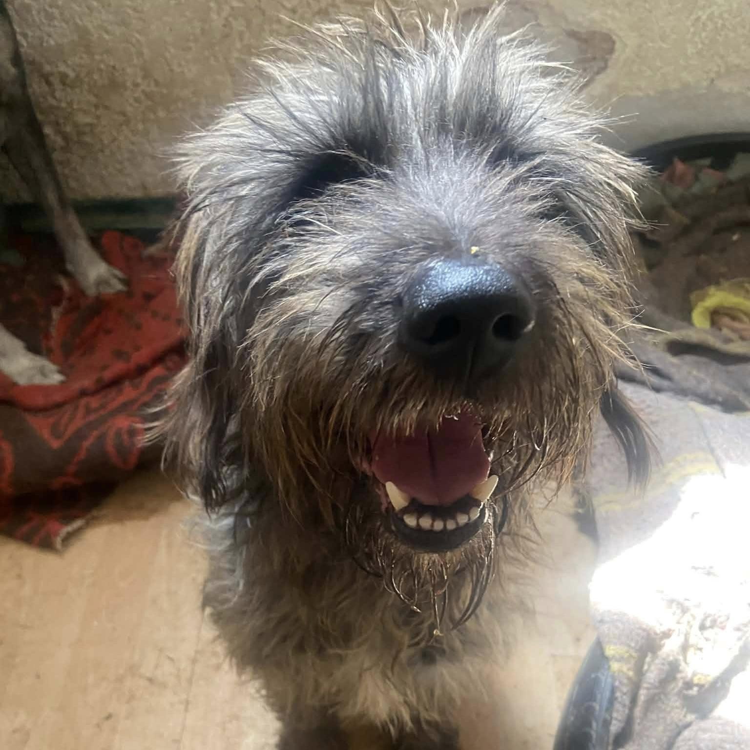 Mister Rogers (20260301-01) — thumbnail 4