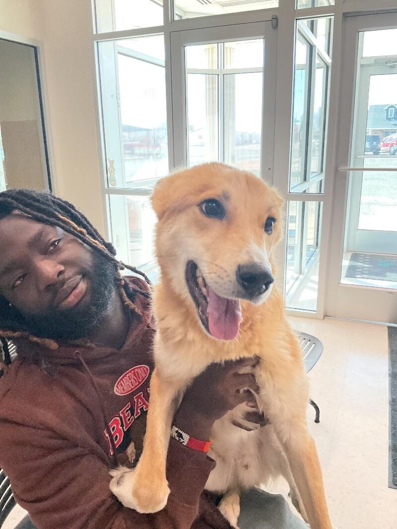 Scooby, a Adoptable Mixed Breed in Hobbs, NM image 4/4