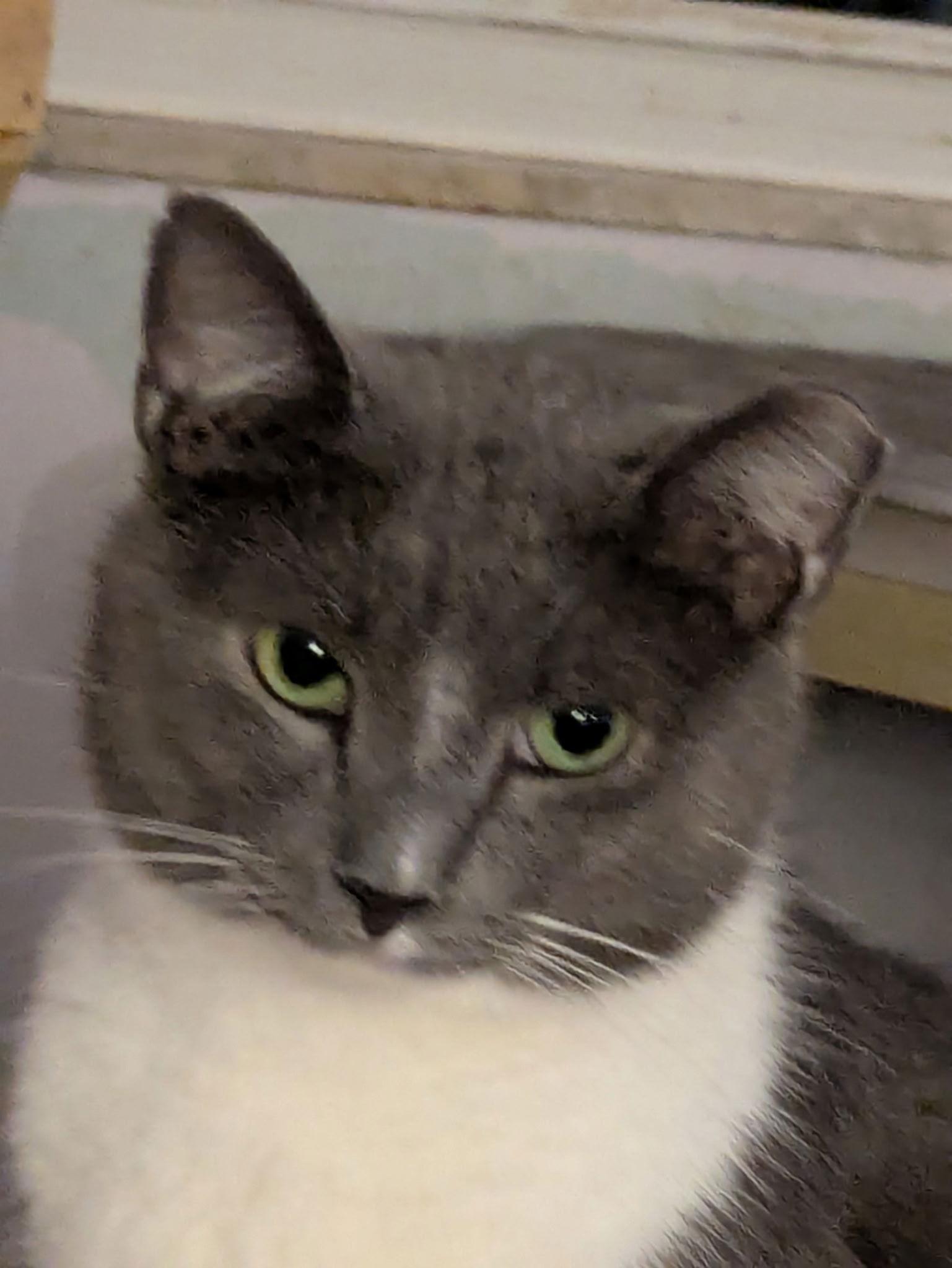 Adrian Alexander — thumbnail 2