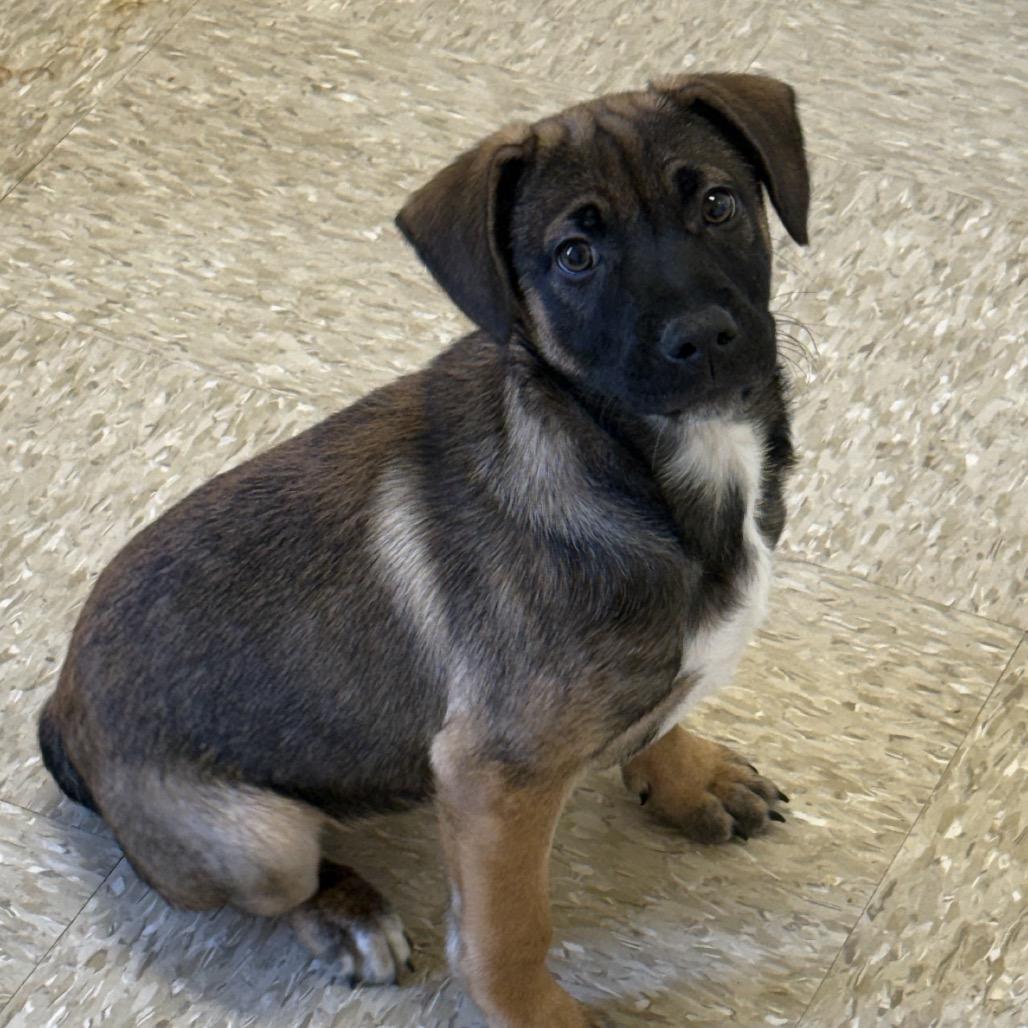 Carter 21982 — thumbnail 2