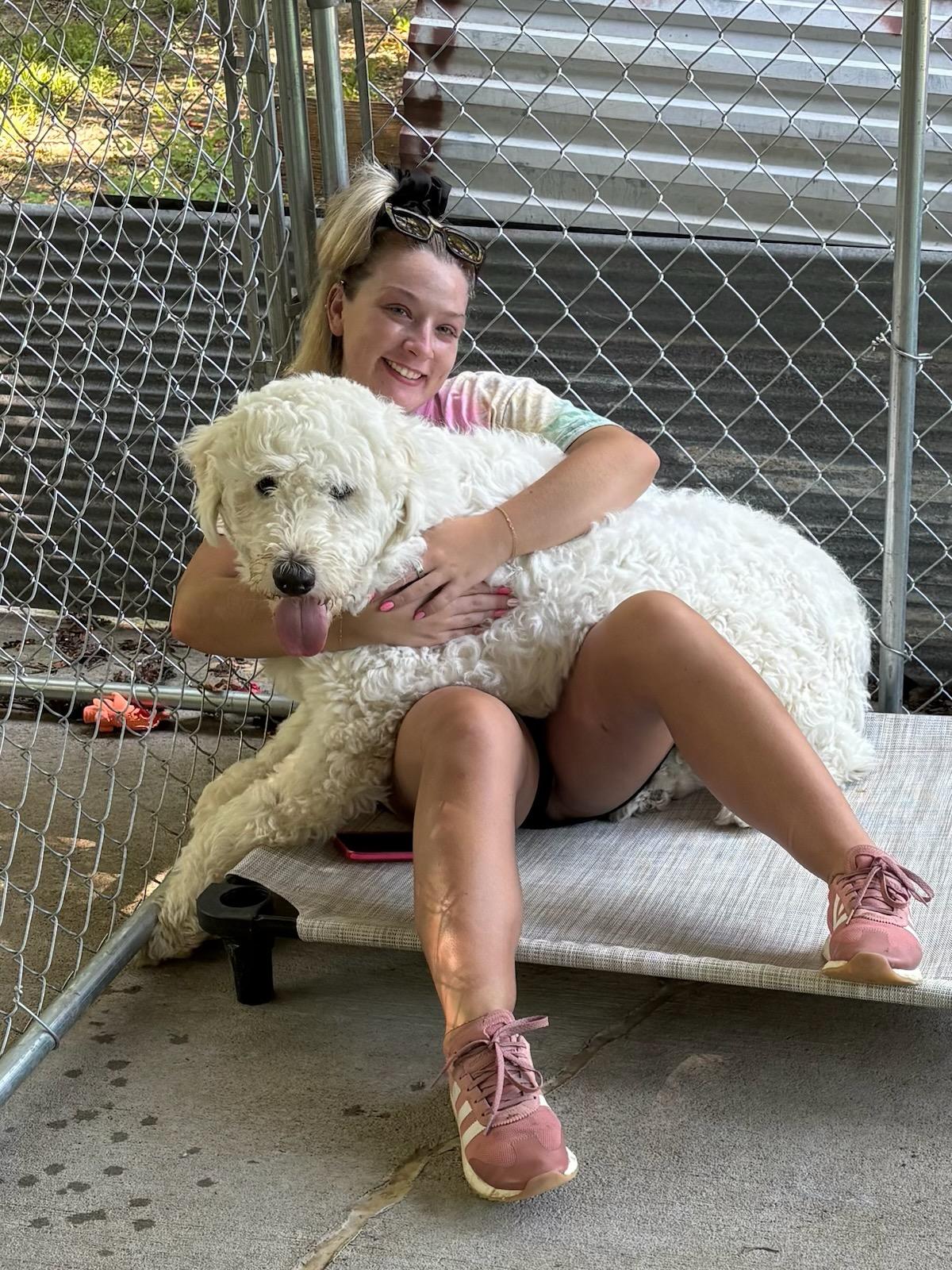 Enlarge Mason, a Adoptable mixed breed in Parkville, MO image 4/5