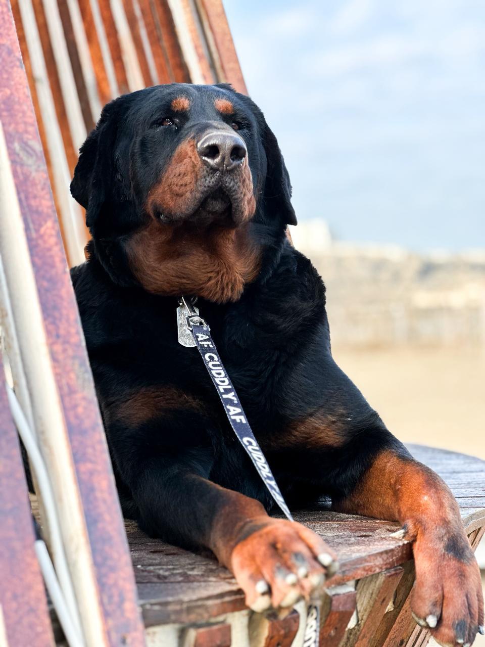 Tysonfromazerbaijan thumbnail 3