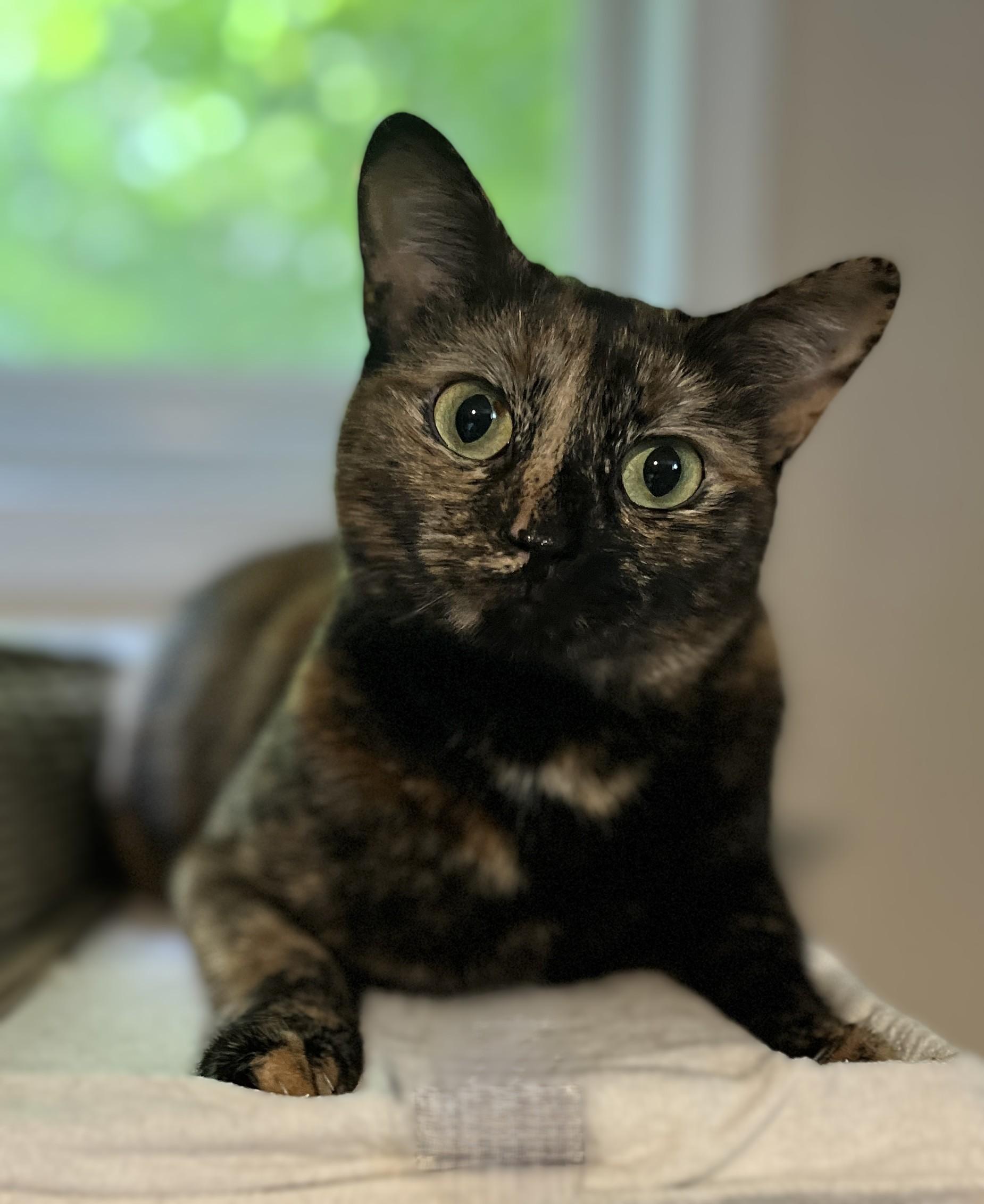 LOUISE