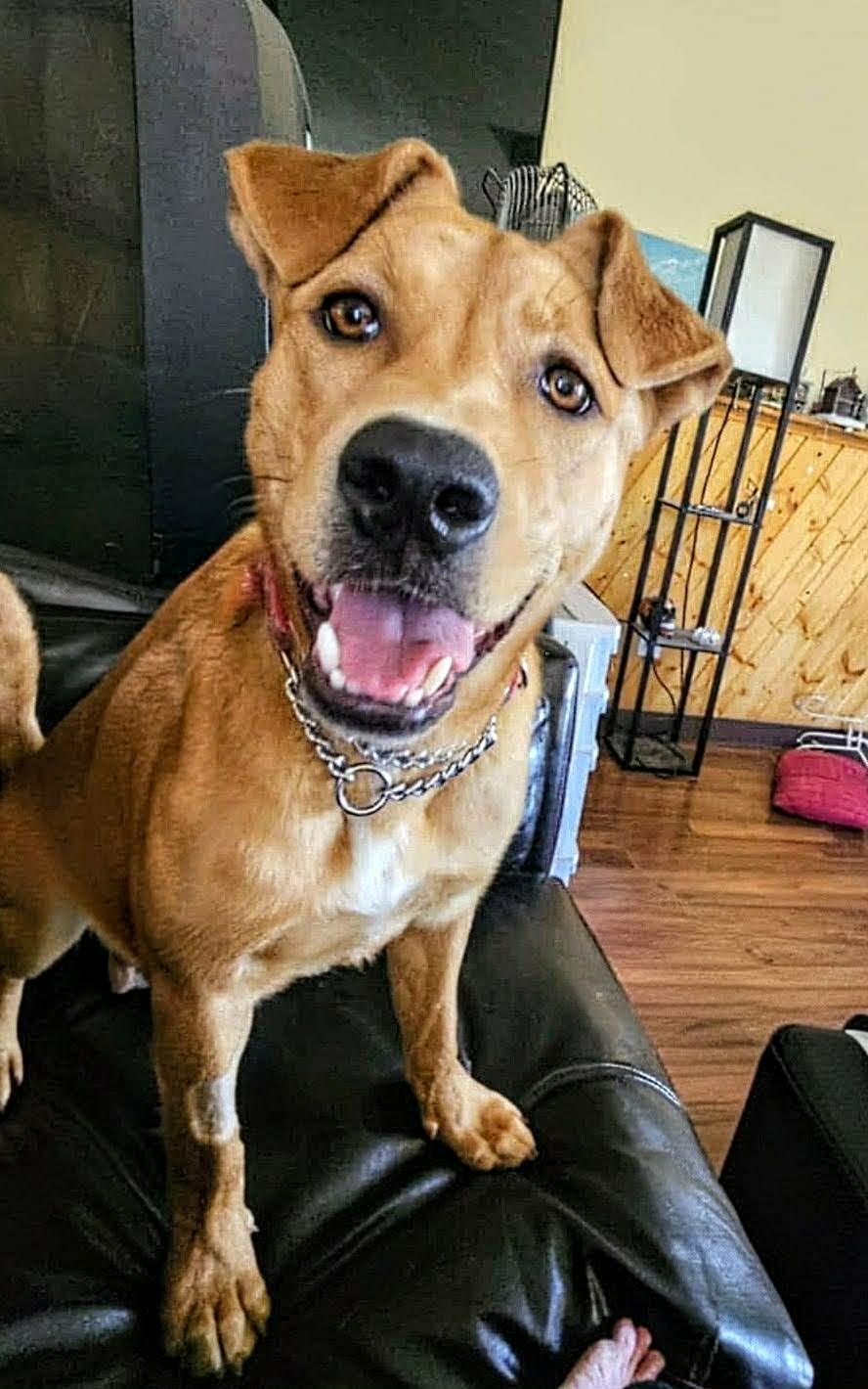 Pepper (20260302-02) — thumbnail 2