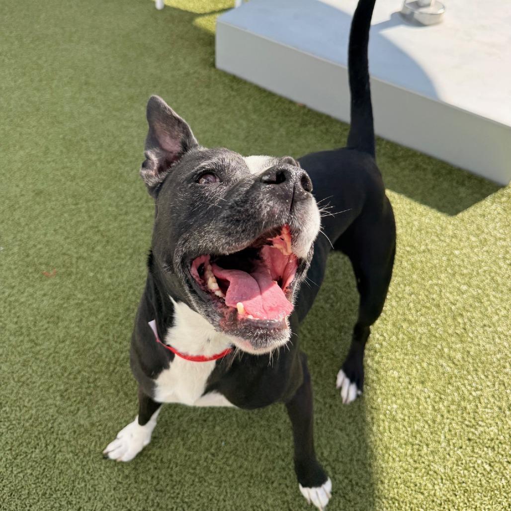 Mercedes — thumbnail 2