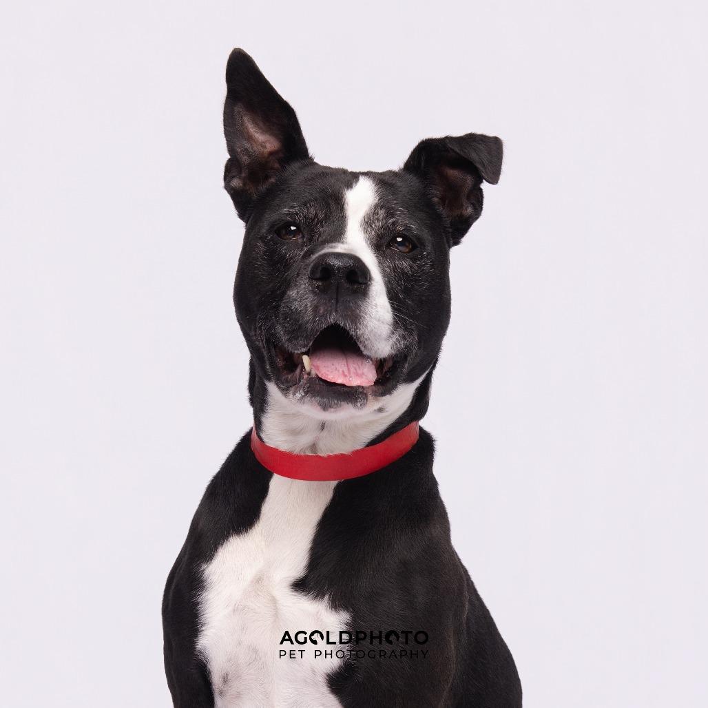 Mercedes — thumbnail 3