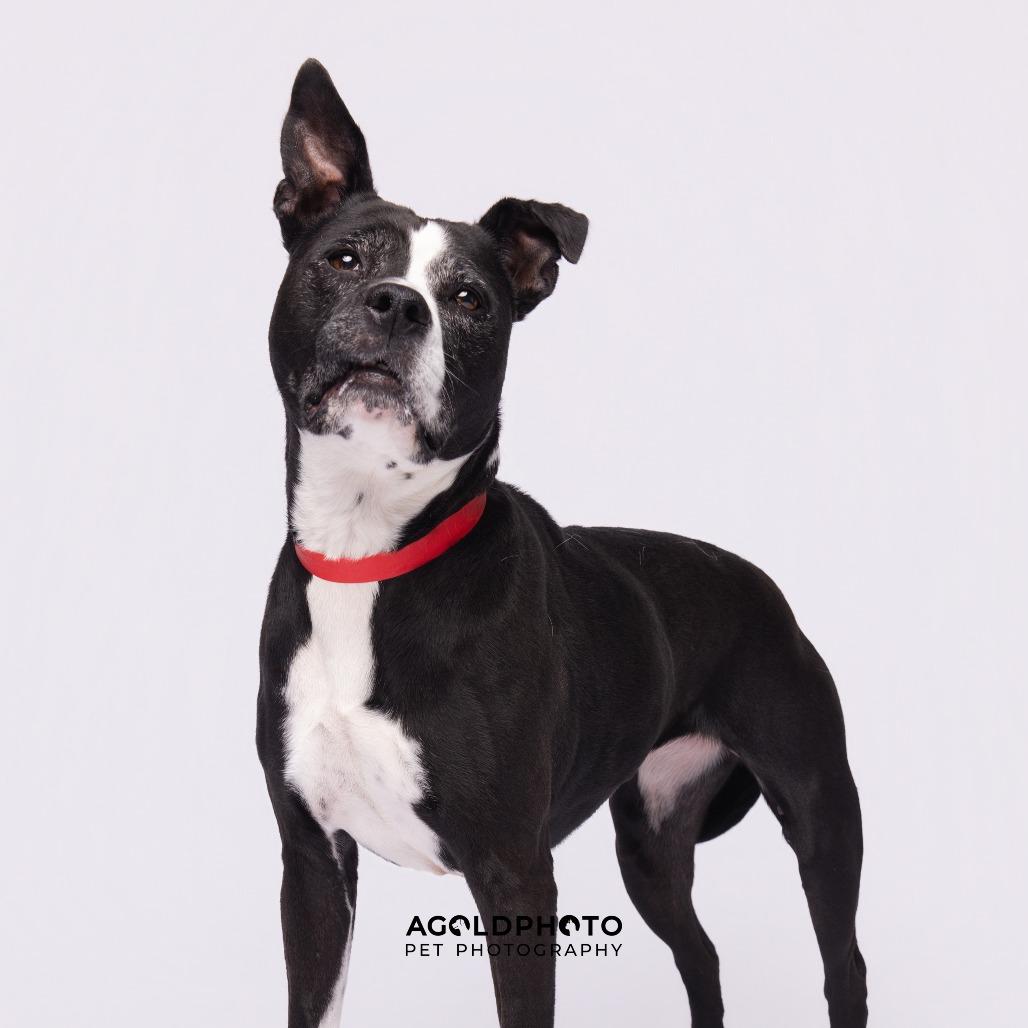 Mercedes — thumbnail 5