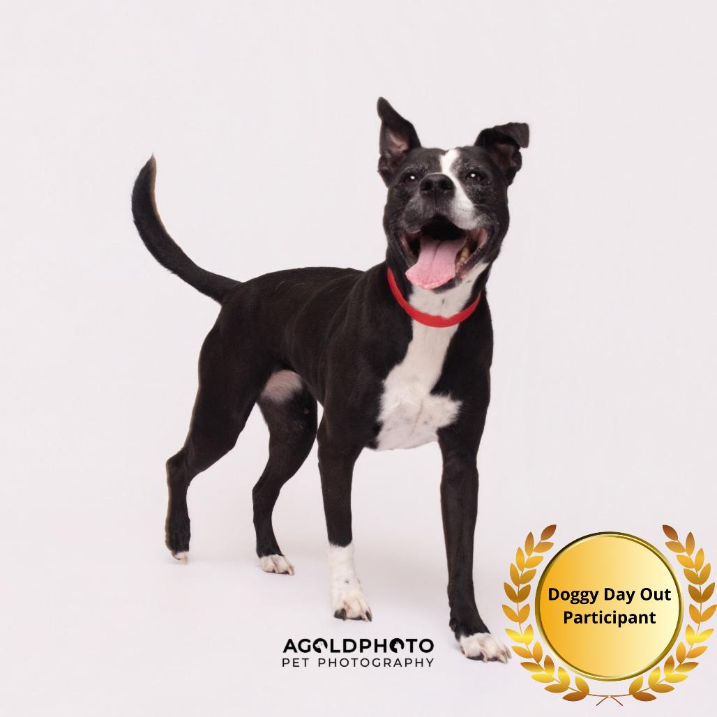 Mercedes — thumbnail 6