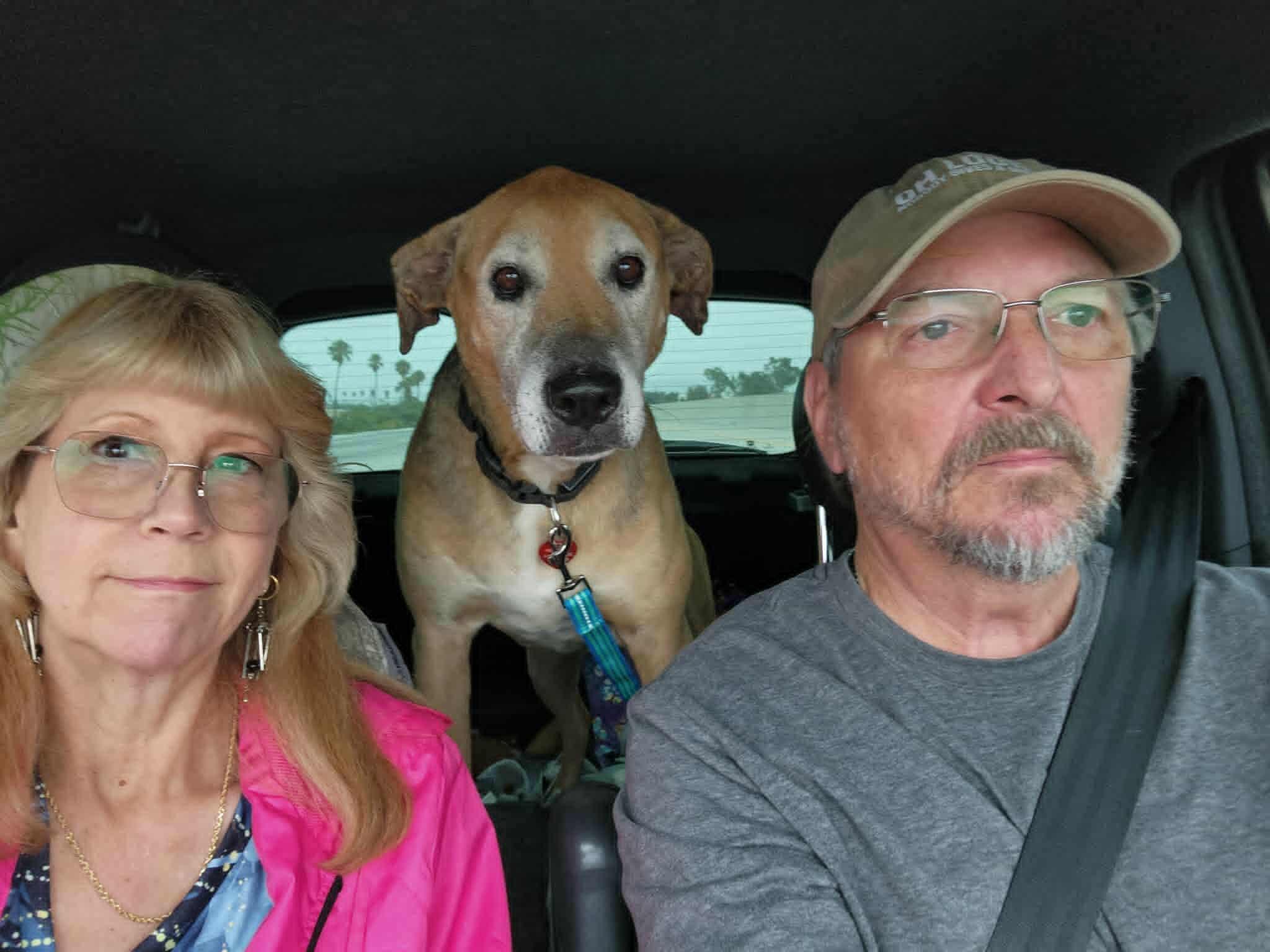 Ozzie — thumbnail 4