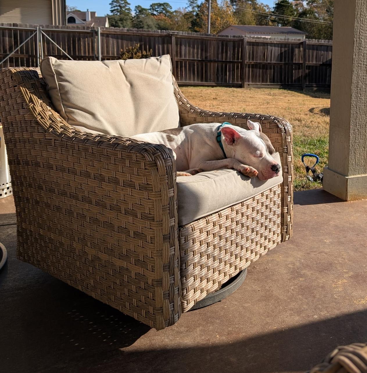 Tommy Pickles — thumbnail 4