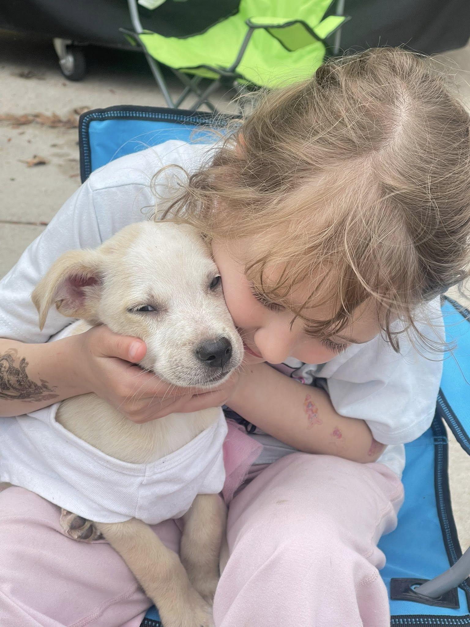 Enlarge Bailey, an adopted mixed breed in Clinton, WI image 6/6