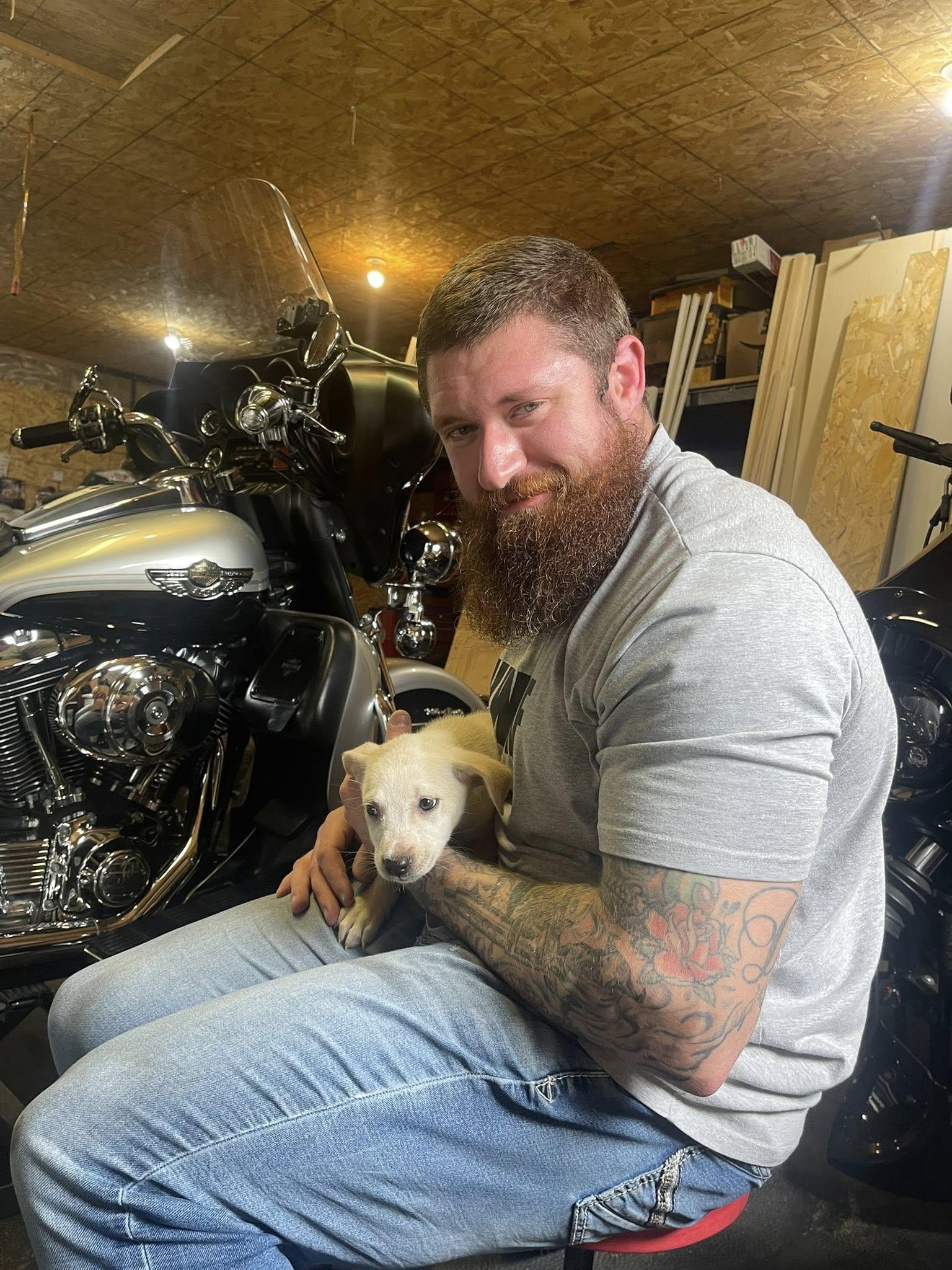 Enlarge Bailey, an adopted mixed breed in Clinton, WI image 3/6