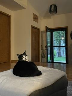Foster - photo 3