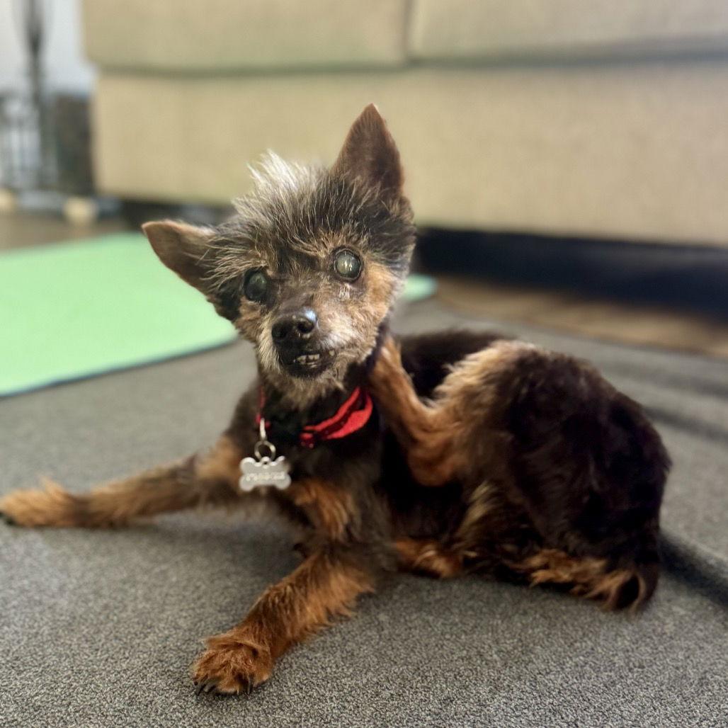 Lupita — thumbnail 2