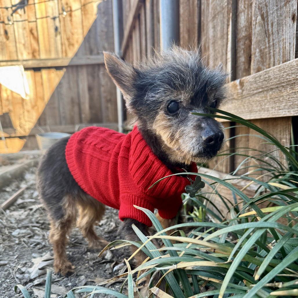 Lupita — thumbnail 3