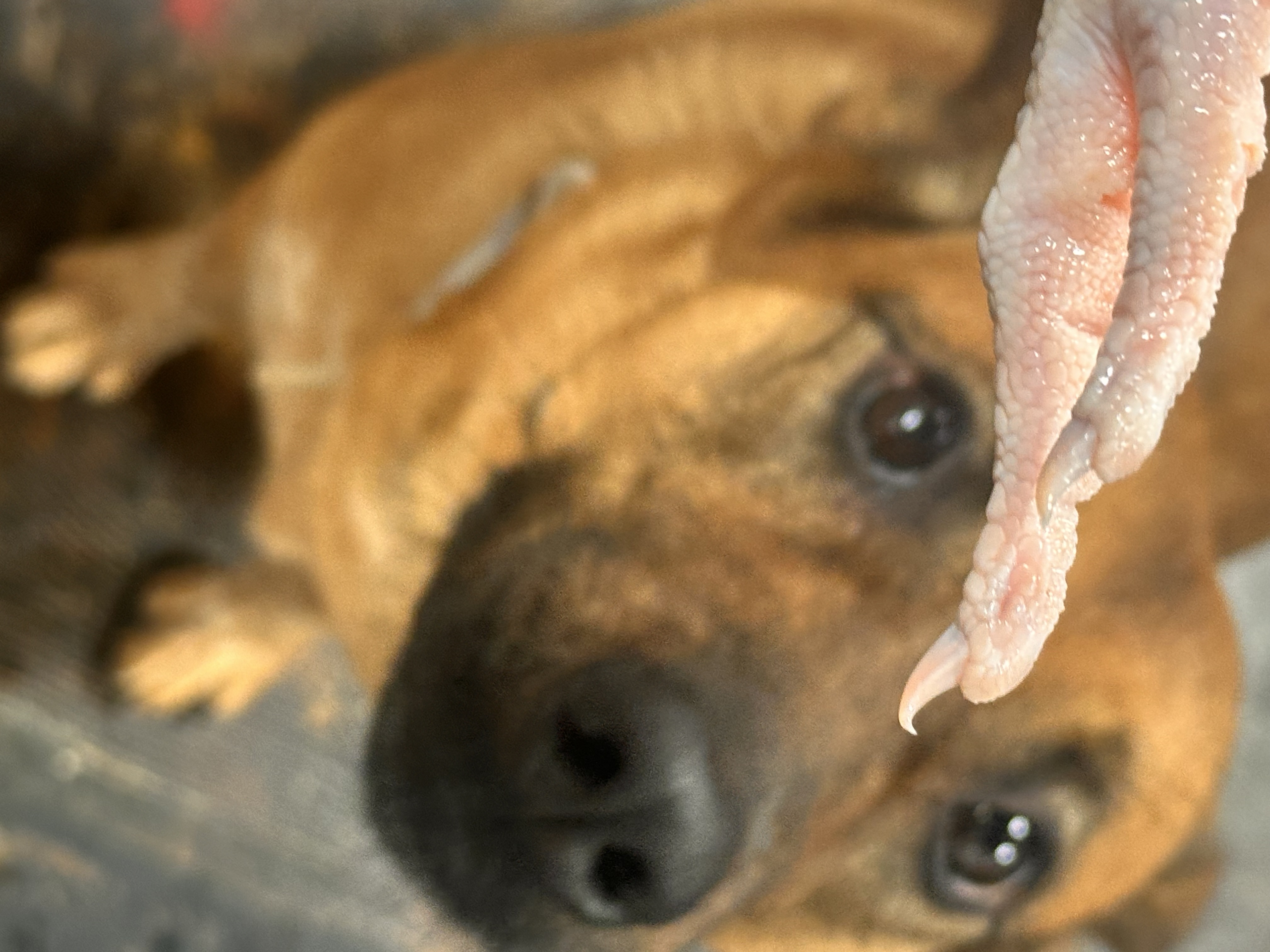 Emma May — thumbnail 4