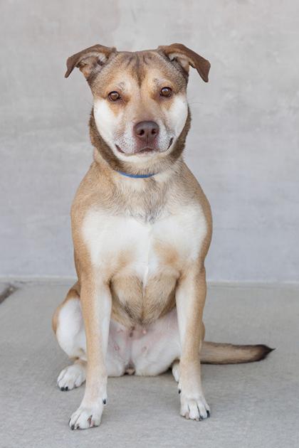 Lucia — thumbnail 2